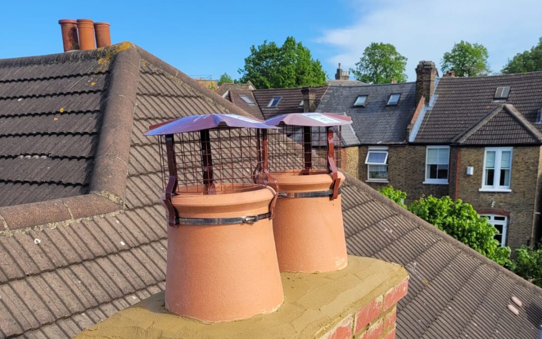 Chimney & Roofing Repairs – Lewisham
